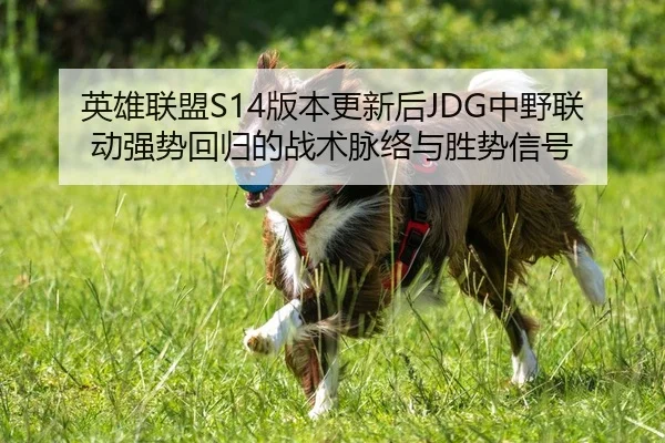 英雄联盟S14版本更新后JDG中野联动强势回归的战术脉络与胜势信号